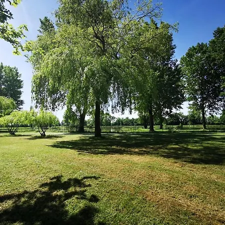 L'oasis Des Dombes Campsite Amberieux-en-Dombes